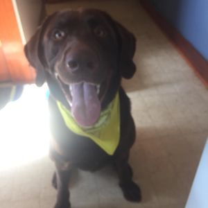 Meet your Posher, Ina